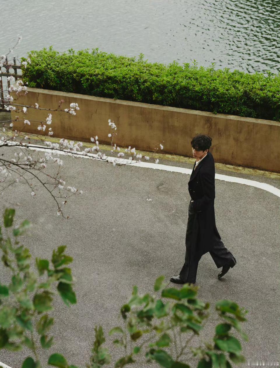 王安宇春天来春城  寻春见安宇[哇] 