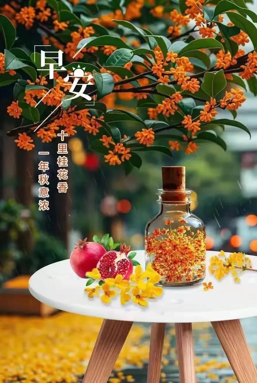 一年秋意浓如醉，
十里桂花香满径。
金风摇曳枝头舞，
玉露沾衣夜色静。

月华如