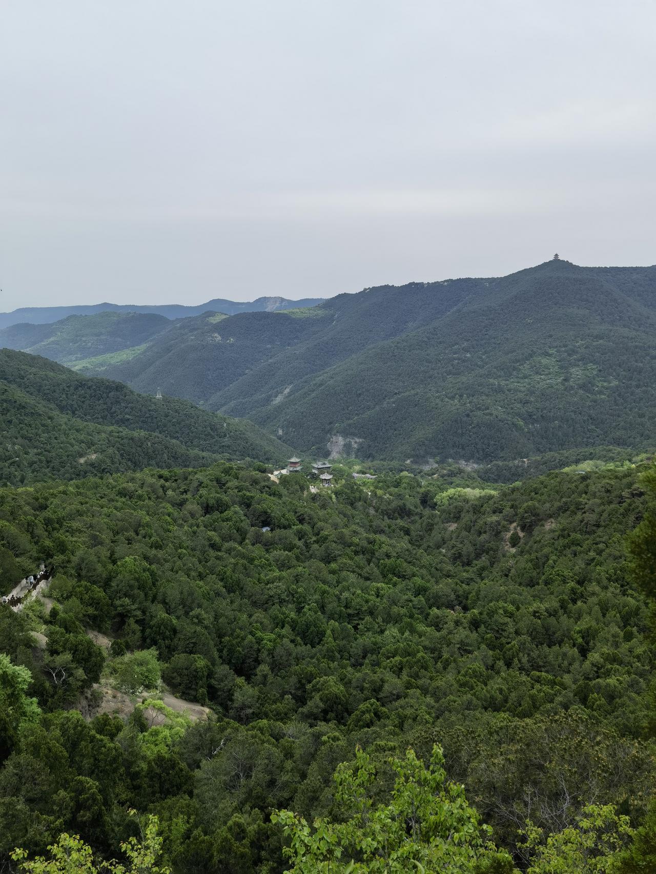 夏日生活打卡季远眺小山岗，心静自然凉