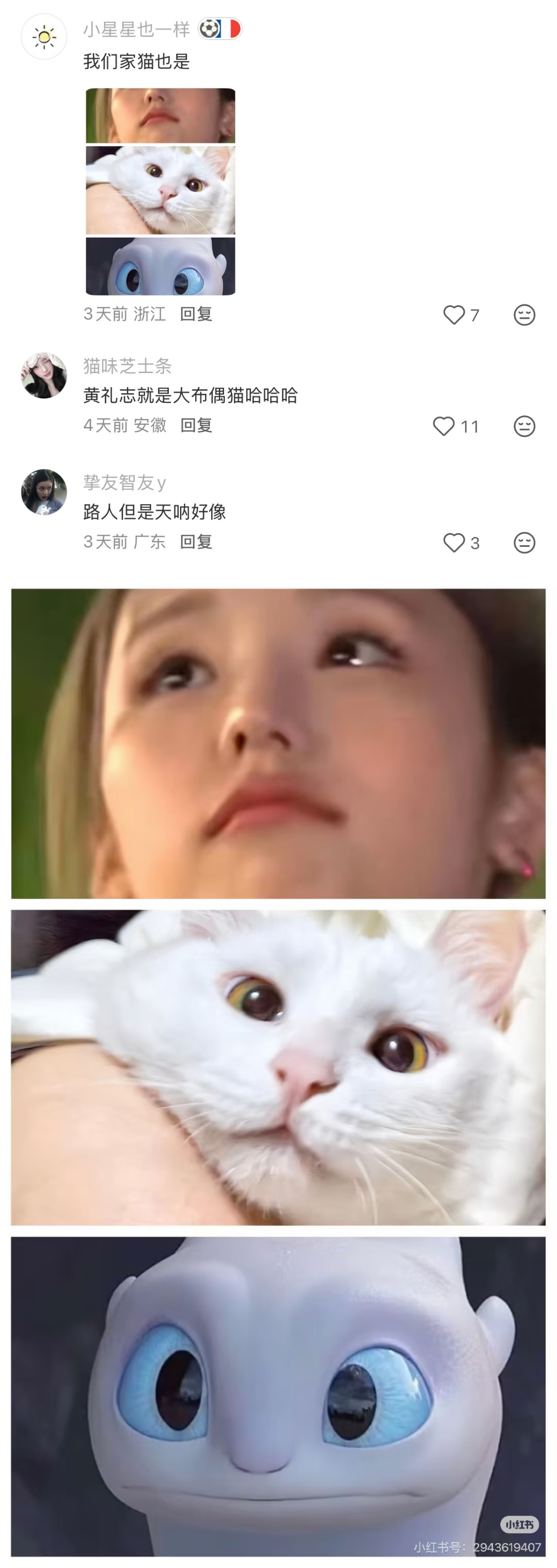 现在已经不是黄礼志像不像猫的问题了 而是路人晒自己的小猫问像不像黄礼志ㅋㅋㅋ「布