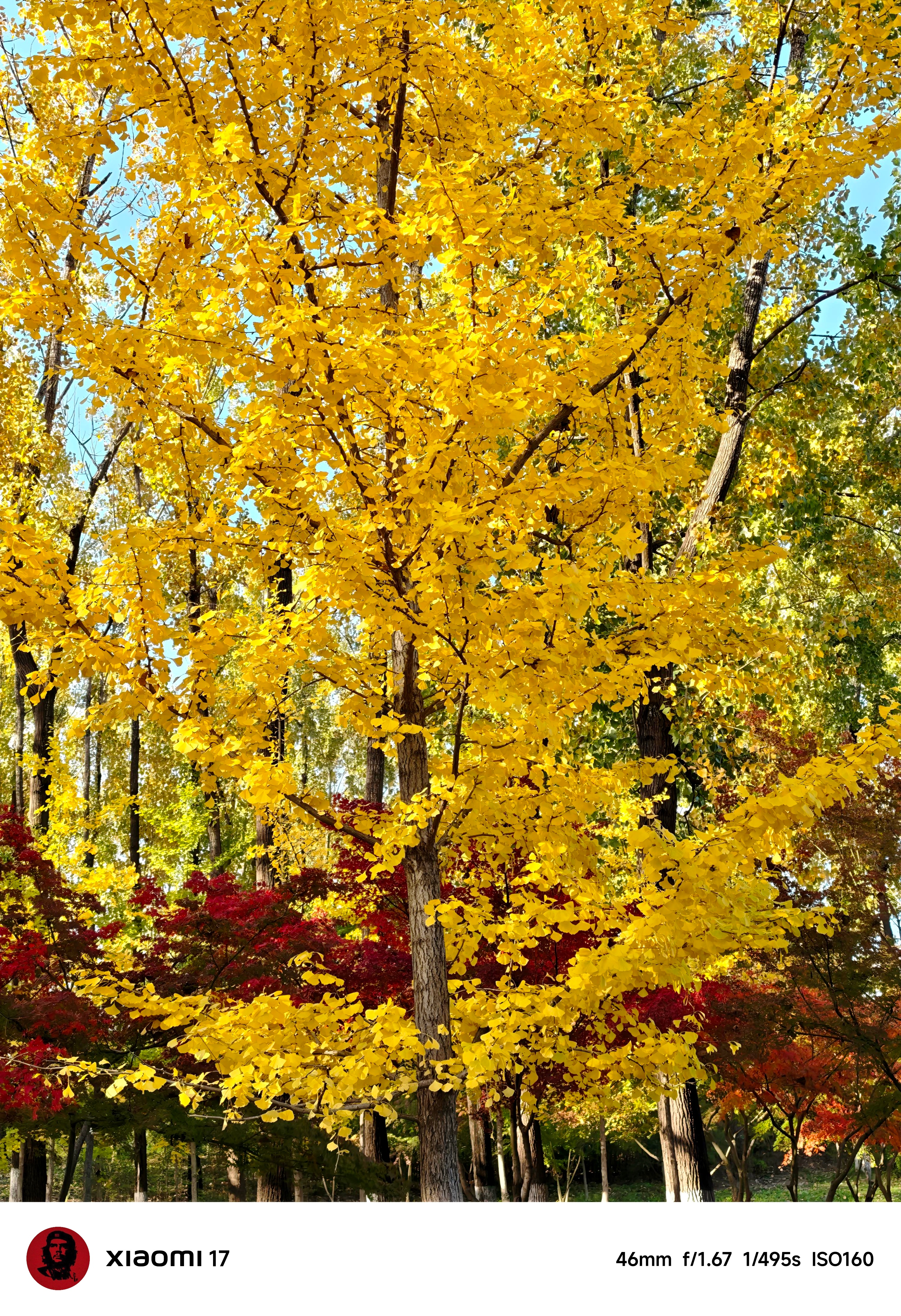 周末，必须亲近一下大自然～ ​​​