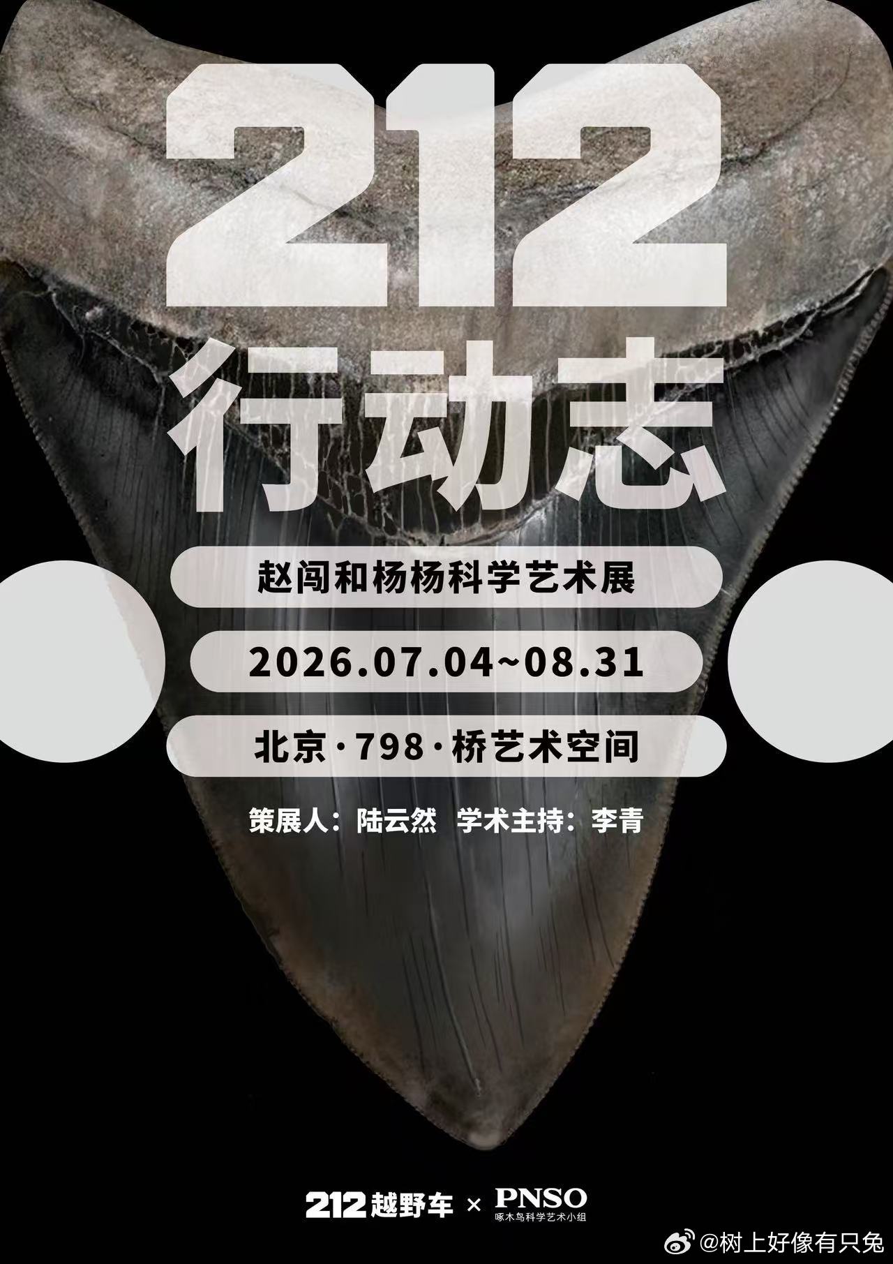 212行动志世界探索计划赵闯和杨杨科学艺术展 212行动志立意十足，将探索与艺术