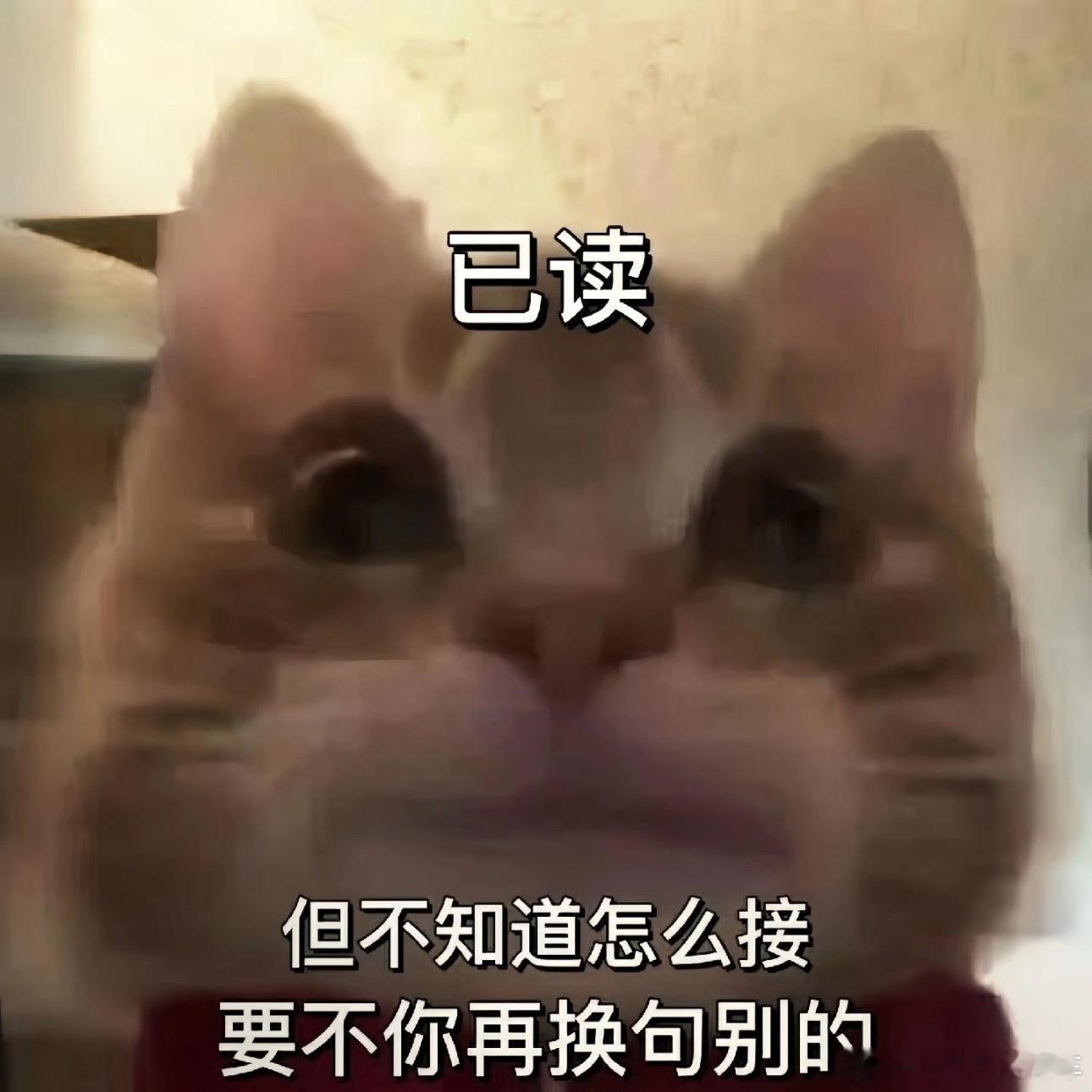 微信不做已读功能每天节奏快到起飞，大家都卷成这样了，求给留条最后的活路吧[泪] 