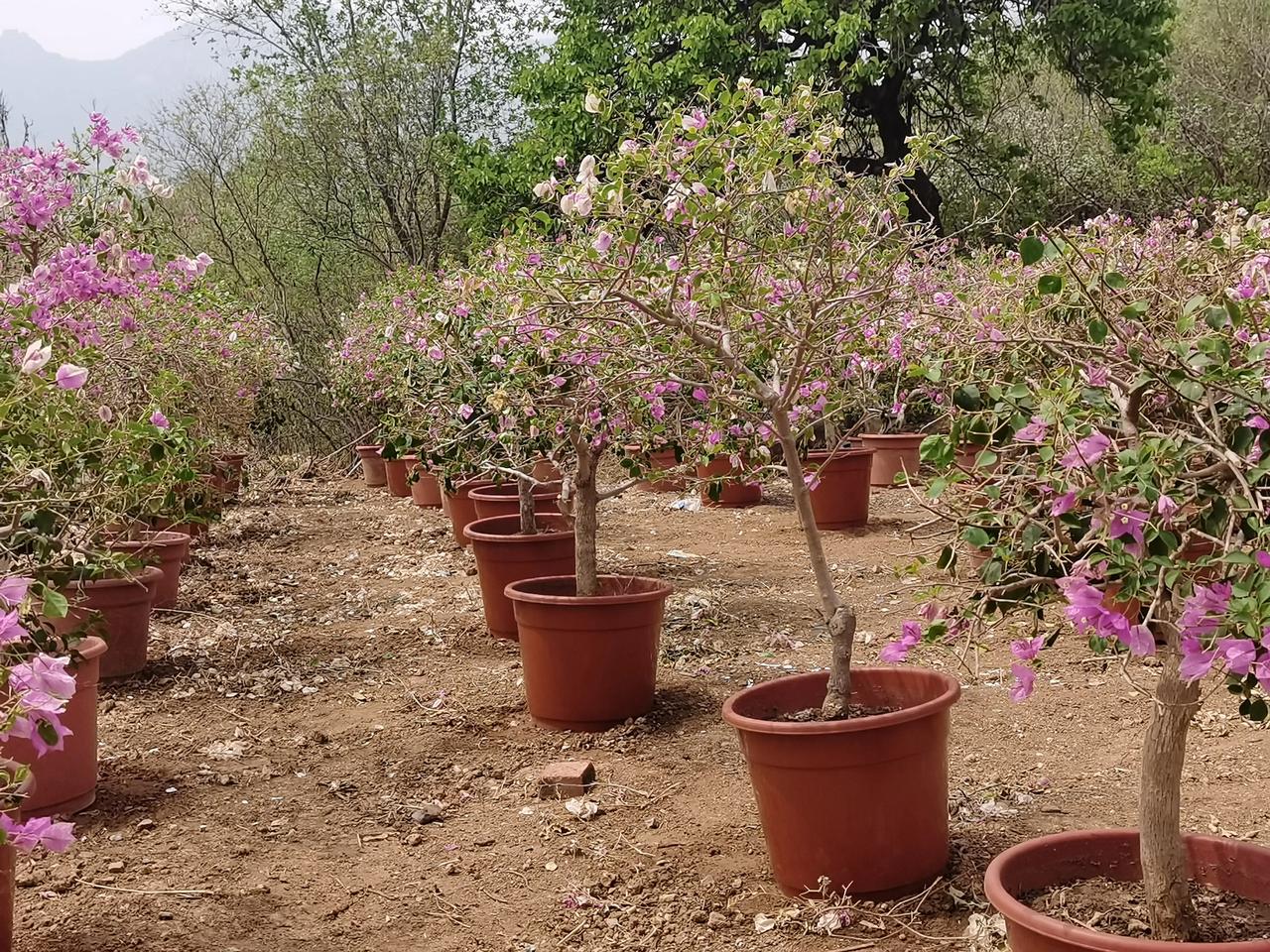 离开那一家子坏人
远远的离开那一家子坏人坏种
有它们在就有伤害
滚蛋吧！坏事做多