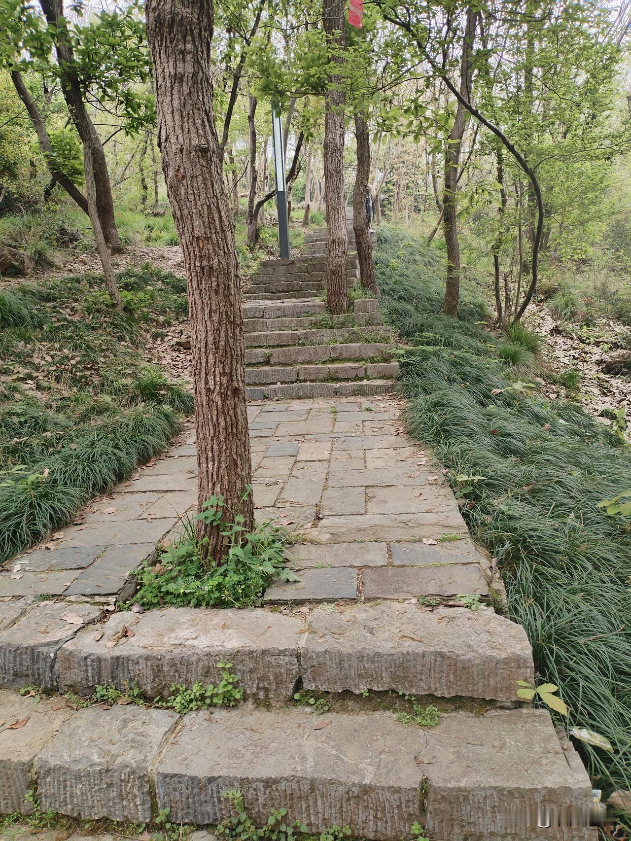 一位肿瘤科主任医师说：

“如果你想让自己多活几年，你就谁都不要管，管好自己就行