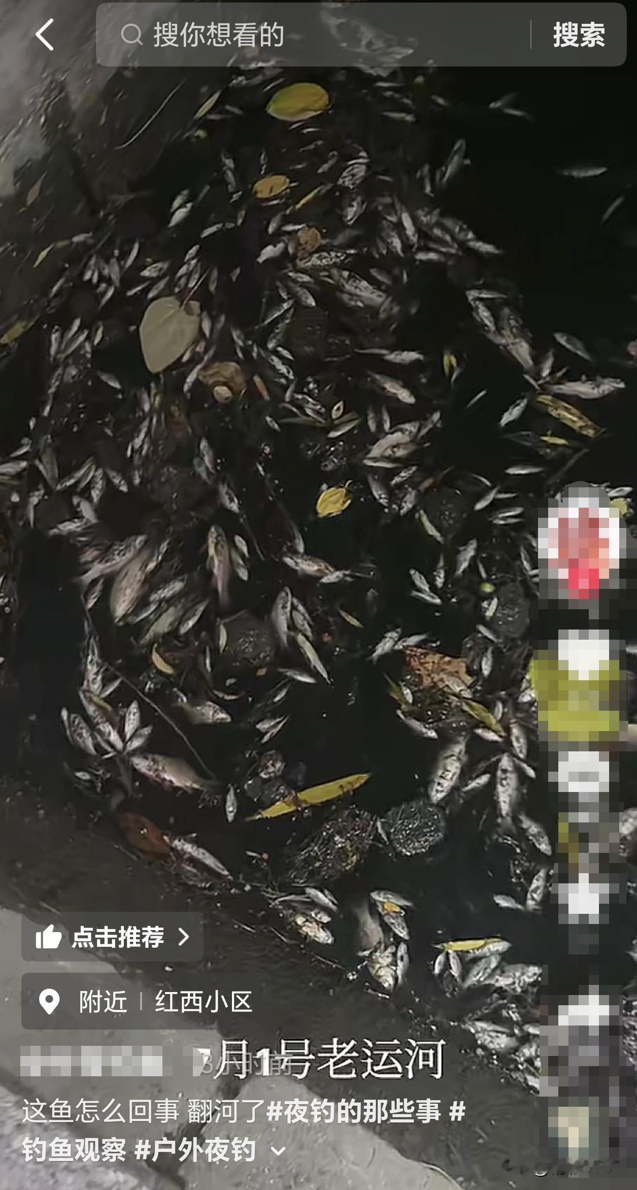 【济宁老运河现大面积死鱼，管理该谁负责？‌】据抖音平台市民发布的视频显示，7月1