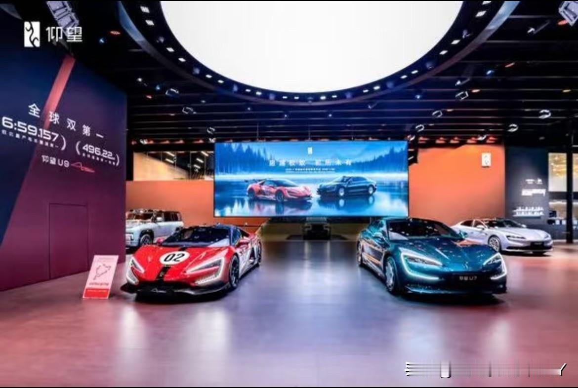 ‼️‼️2025广州国际汽车展览会上仰望汽车以“品牌发布第三年”为契机，携三款重