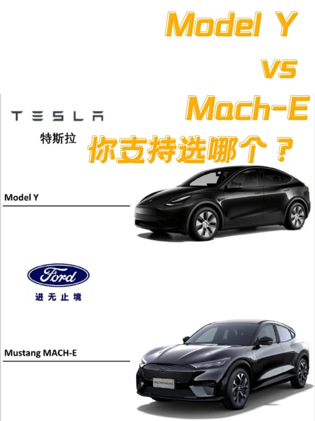选Model Y还是电马？