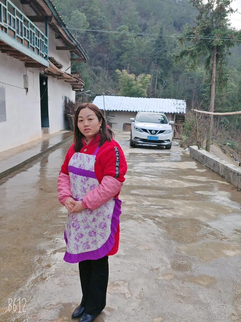 农家院里鸡飞狗跳
昨天天傍黑的时候回到家里，院里头不知为什么跑个十几个鸡，家里头