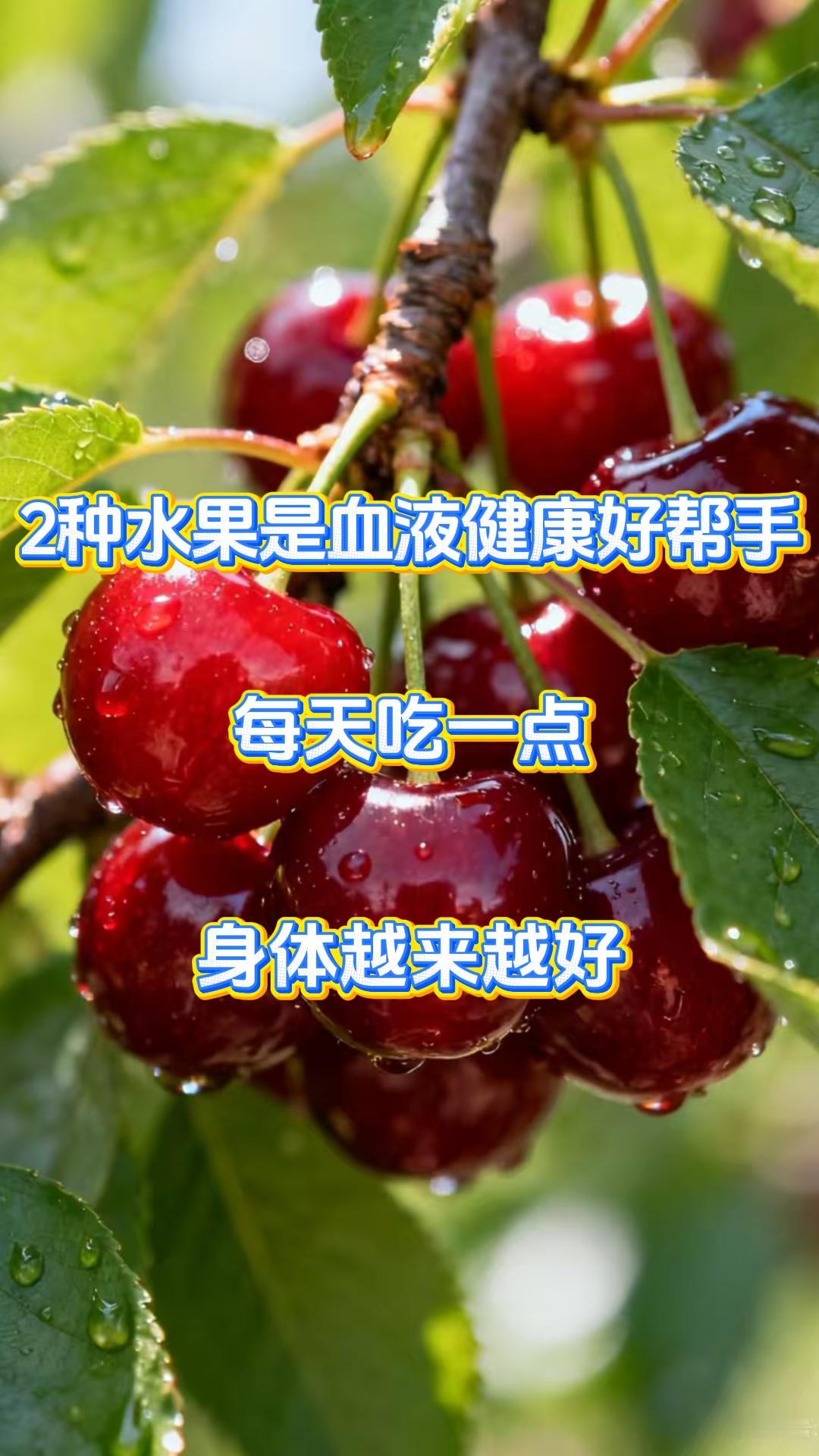 2 种水果是血液健康好帮手，每天吃一点，身体越来越好

有血液病问题的患者一定要