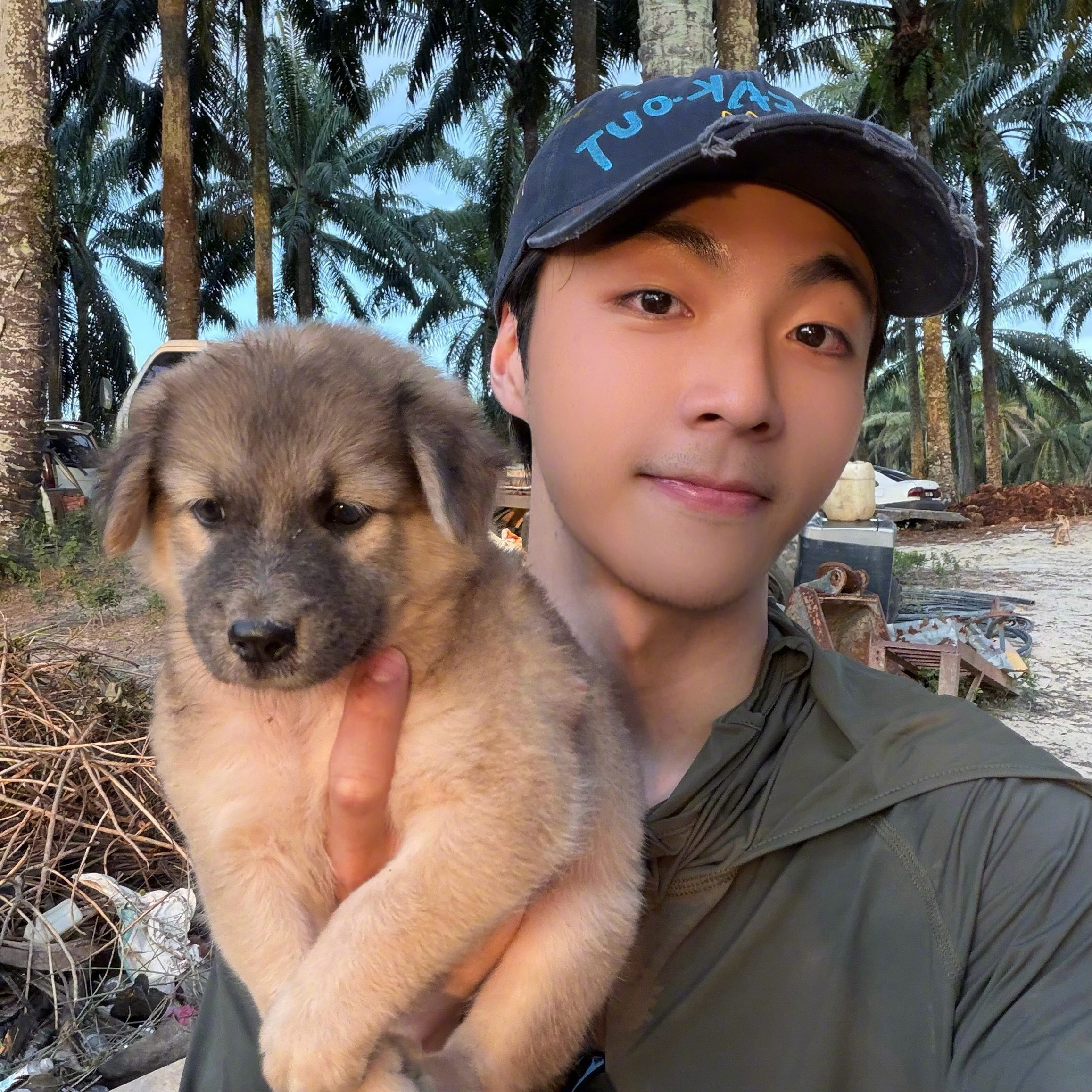 陈立农与流浪猫狗九连拍 这个陈立农是天使来的吧！小狗遇到了温柔的人，人也收获了一