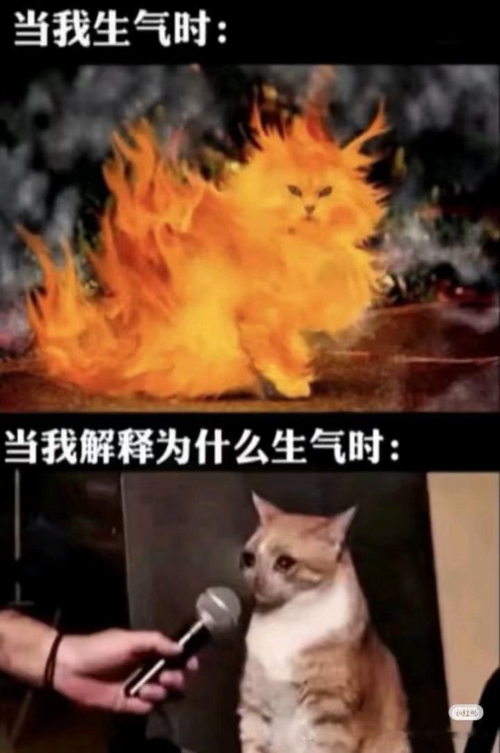 哦哦哦 