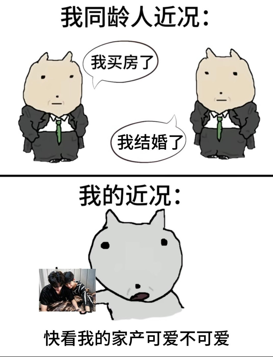 快看我的家产可不可爱 ​​​