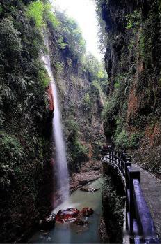 【财富晚茶】三元股市收评：沪指跌0.97%：林业强势上扬玻璃探底导语：作者系《网