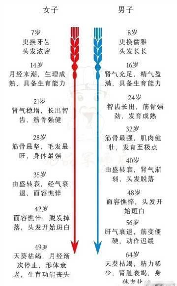 一图看懂：
黄帝内经解密；
女人是7的倍数；
男人是8的倍数 ​。