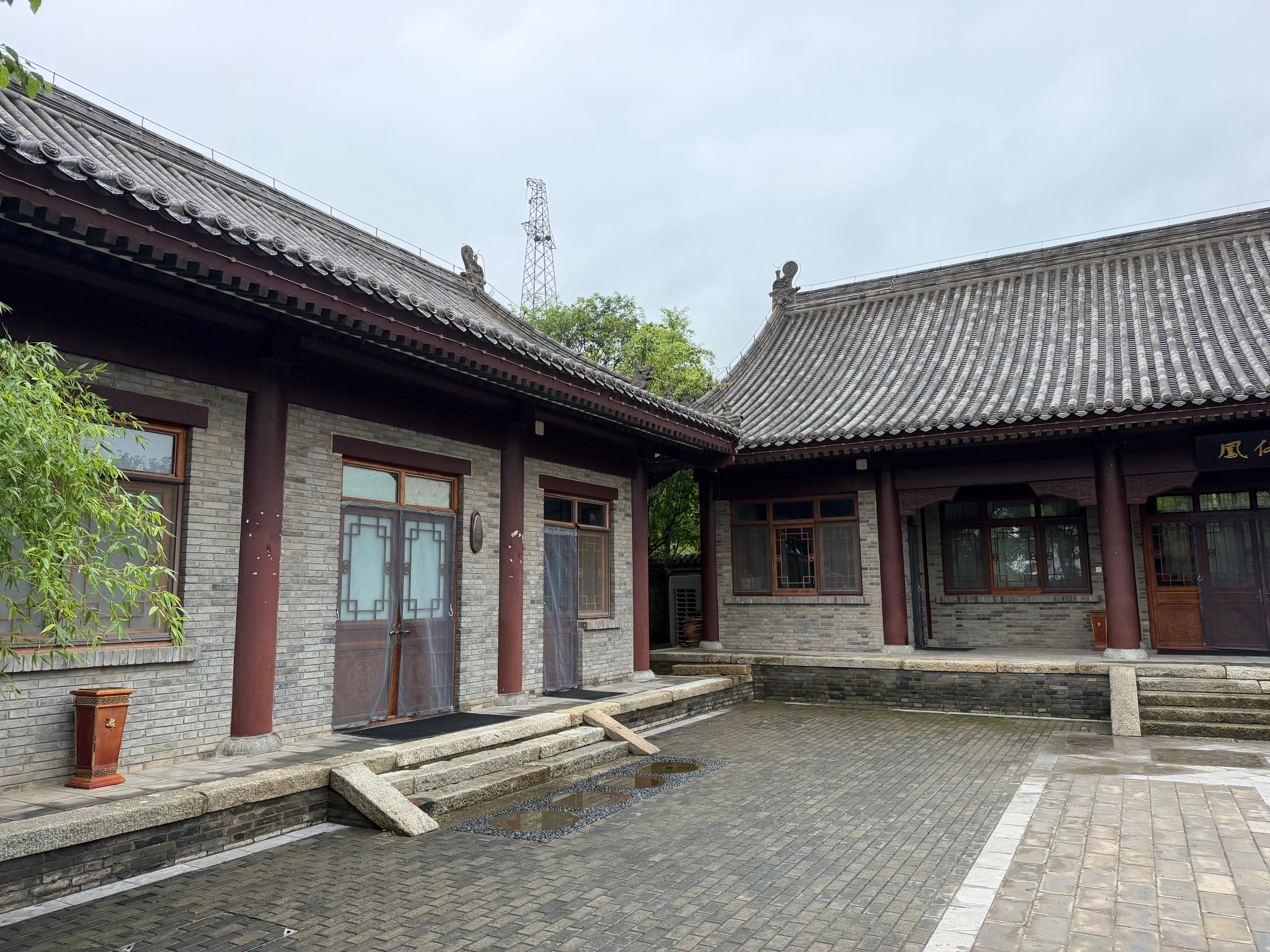 住临潼战国风小院，石榴长得又肥又壮，我想在深圳院子里种一棵，妹妹说，深圳的气候种
