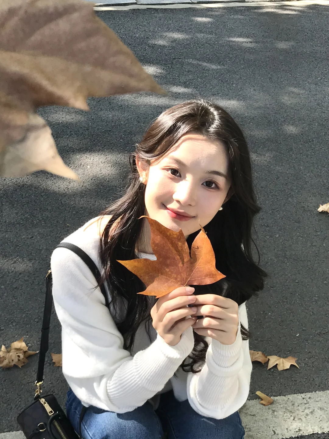 🍂秋天一定要多拍拍live 图|中午光都好透啊