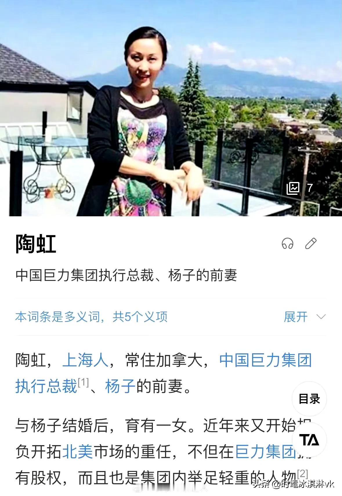 杨子的前妻是陶虹，对黄圣依评价好高啊！叫她小淑女[灵光一闪]

这个陶虹不是徐峥