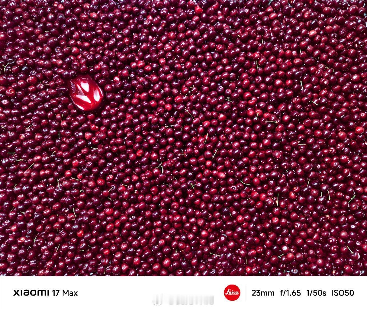 小米17 Max 这次有个需要注意的地方，这是小米第一次在数字旗舰上使用徕卡2 