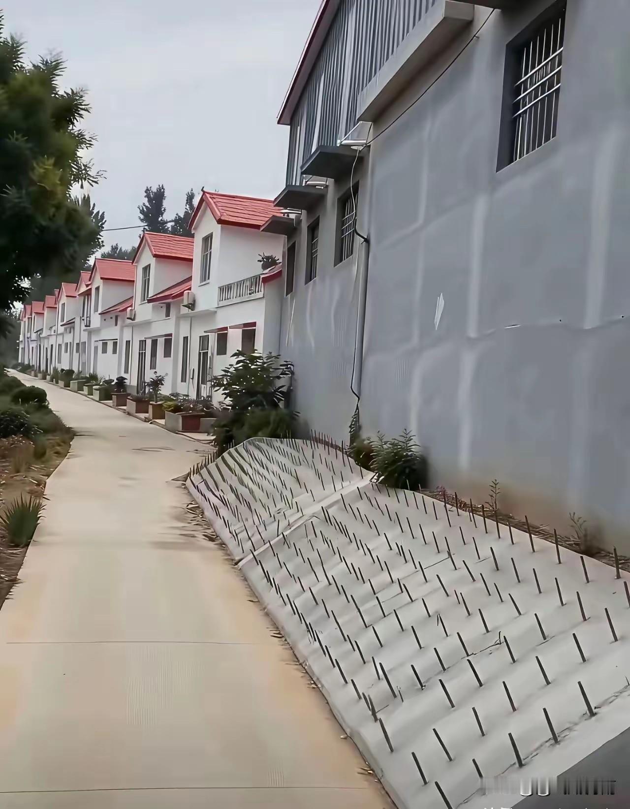 屋后是公共路基，房主修护坡保护墙体，情理上可以理解。
但保护自家财产不该侵占公共