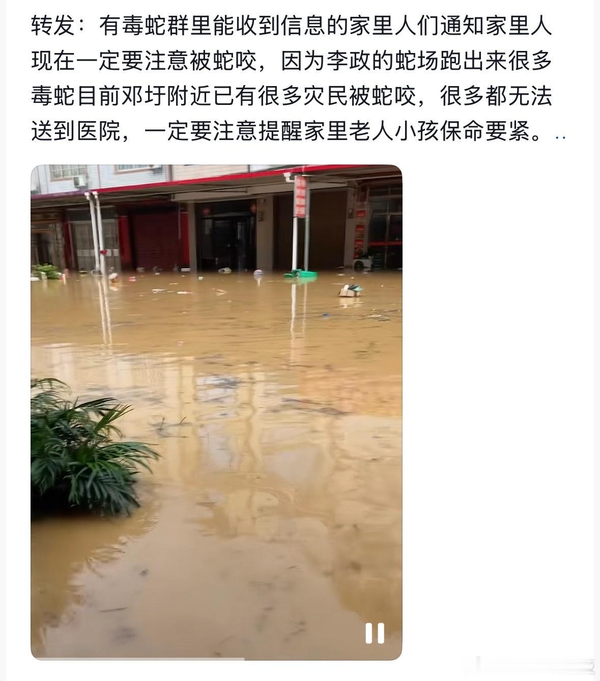 广西 蛇场广西洪水冲破养殖蛇场，切记如果遇到蛇类别主动追打，受惊的蛇攻击性会大幅
