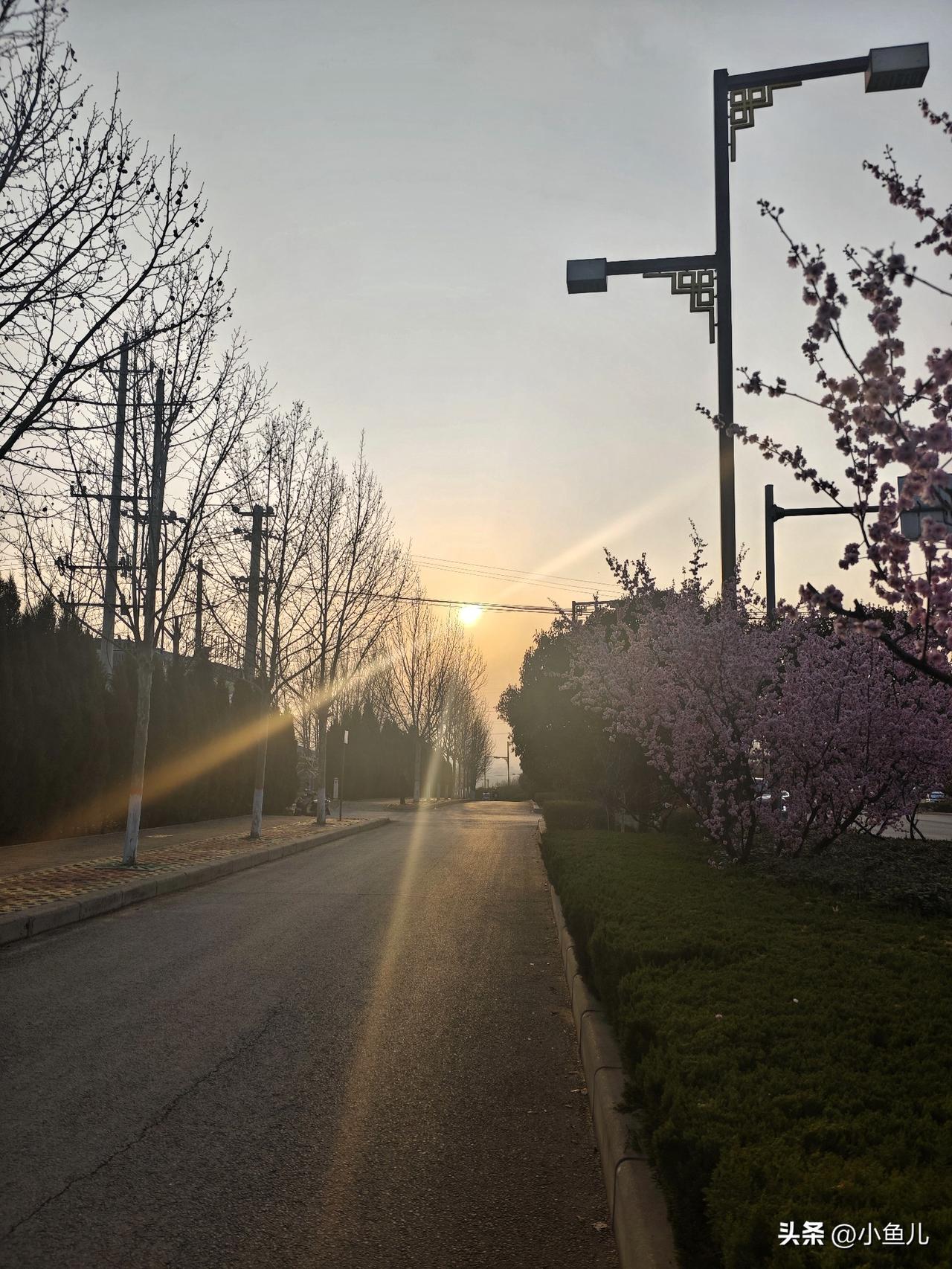 总有人问我手机里最舍不得删的照片是什么，不是风景大片，也不是精致自拍，而是某次下
