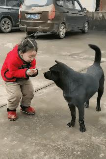 笑翻！一块剩饼干，承包狗子一整天的快乐😂
 
家人们快看这只快乐修勾！小主人随