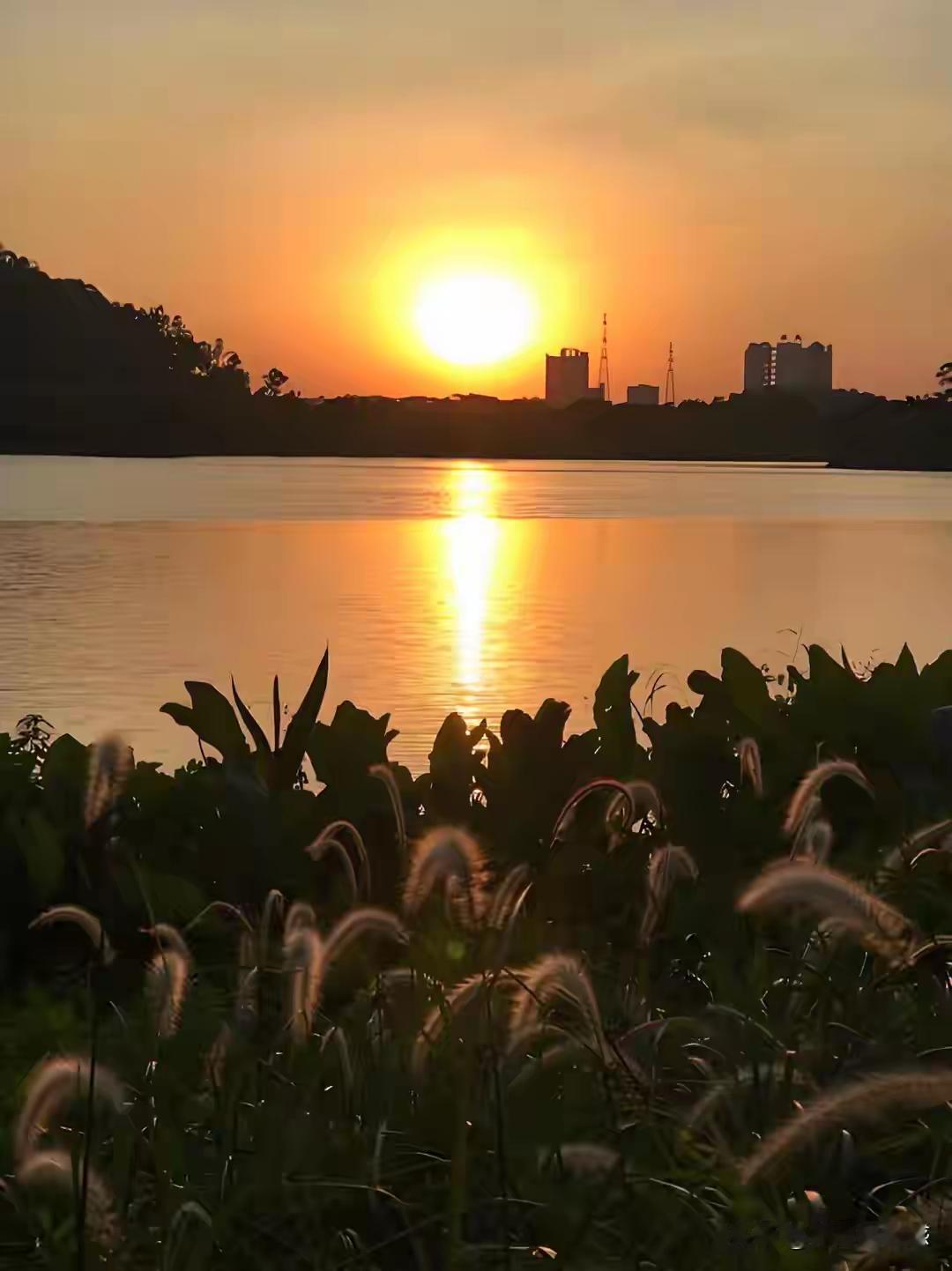 晚风知意，黄昏知心：最好的养生，是身边有个懂你的人

诸位朋友，今儿咱们单说一桩