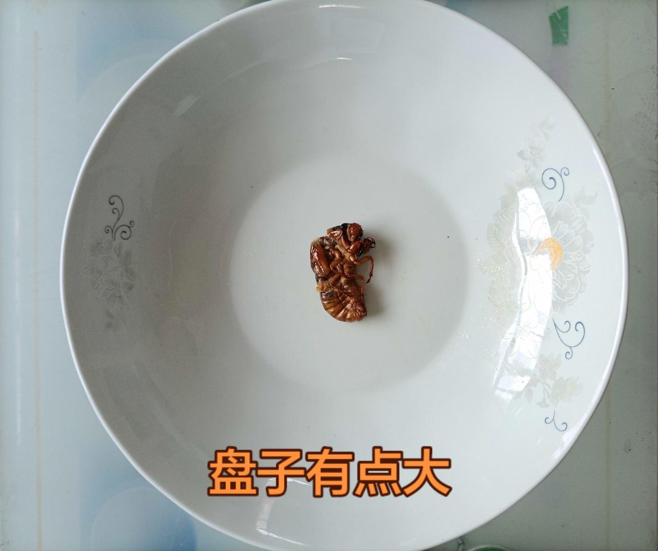煎了知了猴 告诉自己吃这些都是不长肉的
