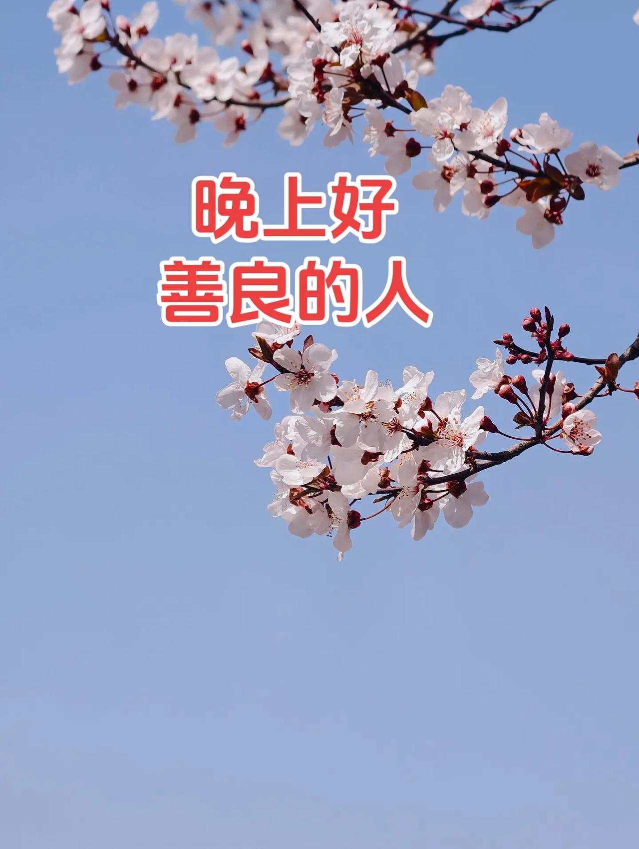 历史古迹 手机摄影 春天的味道 图文热点来了 随手一拍都是美景