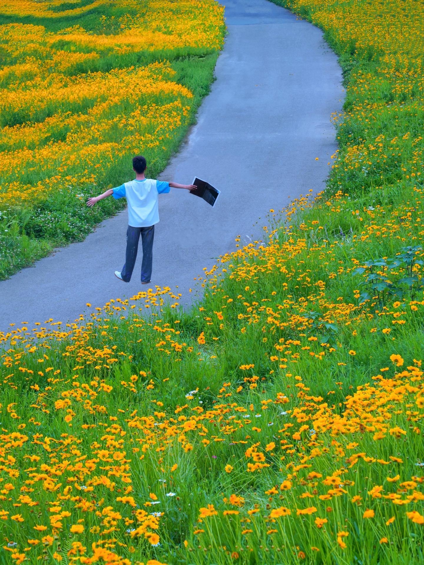 成都！地铁直达的免费花海！！也太浪漫了！“故事的小黄花 从出生那年就飘着……”
看到这片开满山坡的黄色小雏菊
脑海里不由自主的浮现出Jay周的晴天
·
成都的初夏是花海的世界呀
如果你刚好在那就去看看这片雏菊花海吧
一整个山坡 道路两旁全是成片的金鸡菊
竟然没人拍！立马拍出梵高油画既视感！
·
地址📍：中和湿地公园2号门
地铁🚇：6号线中和站D口
·
出游tips：
1️⃣穿搭建议穿浅色衣服更容易出片
2️⃣道具可以准备草帽、报纸、墨镜等
3️⃣晴天会比较晒，注意做好防晒
4️⃣公园附近没有卖吃的，可以自带水和零食
·
⚠️来拍照的朋友注意文明赏花，请勿踩踏和采摘花朵