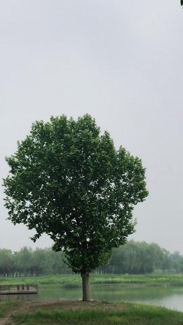 信心；心态； 