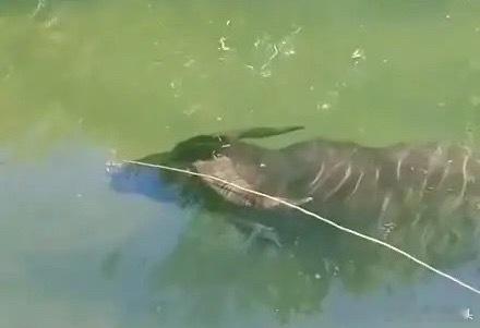 2.5亿股民注意！12月A股迎来关键转折，两大新主线暗藏翻倍机会当全球金融市场因