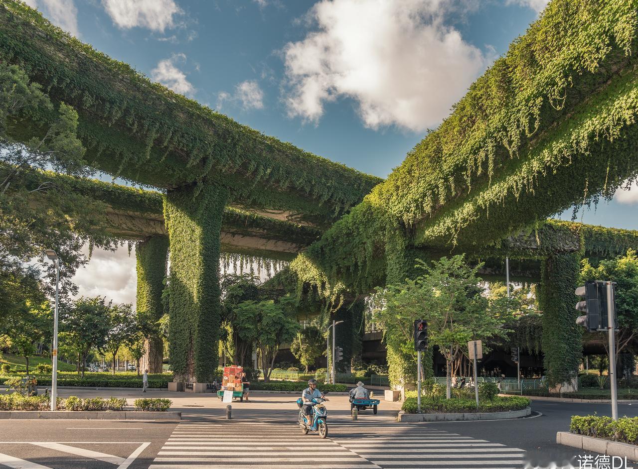 《森韵桥廊》
当水泥立交披上绿意长袍，城市脉络在藤蔓经纬间重生。巨构桥体垂落青瀑