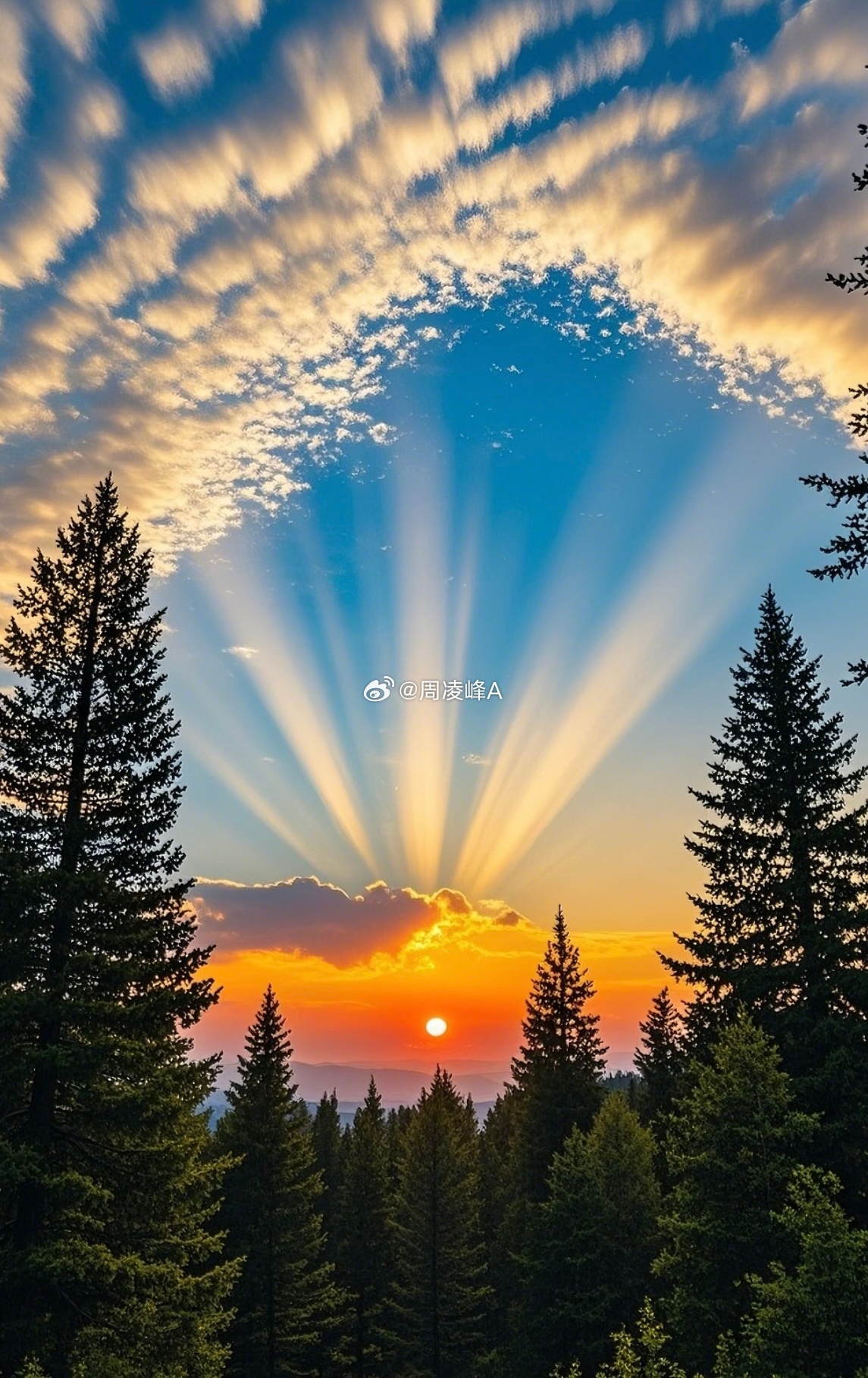 平安喜乐，万事顺遂每日一善阳光信用