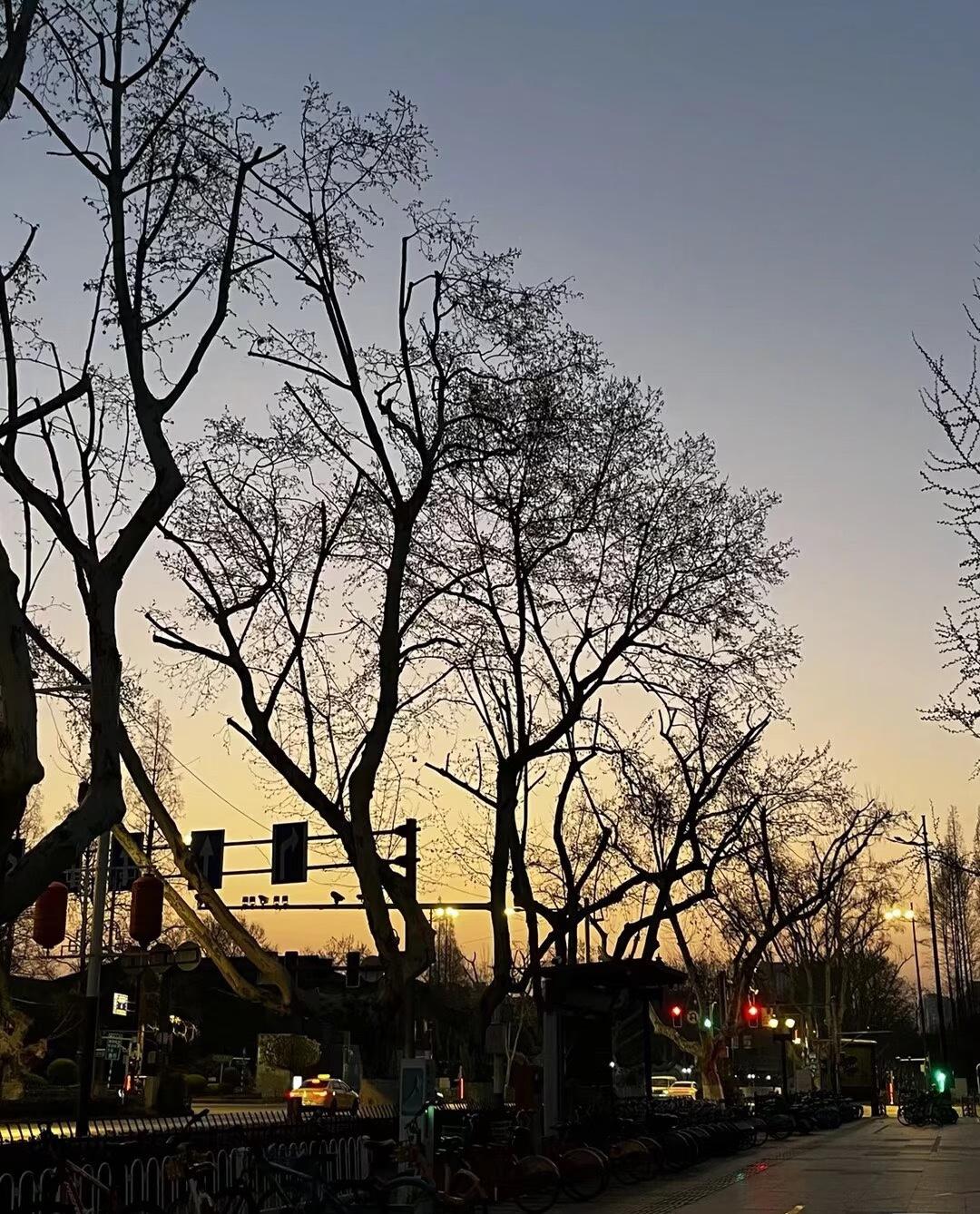 网约车到底好不好跑？这行真没外人想的那么轻松。

每天从早到晚盯着手机接单，凌晨