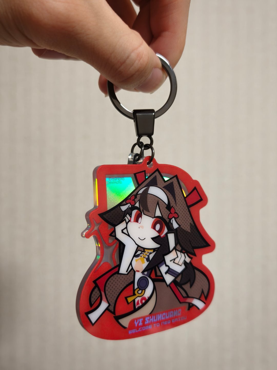 嘿嘿小女友去animate打野给我带了个小光和大雷粉毛回来
