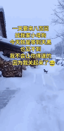 这回让你彻底绝望…[发怒]