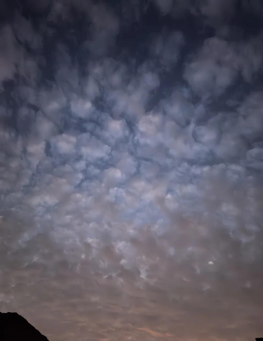 坐标南京，这是地震云嘛？
坐标南京！今天抬头一看直接被吓到…
天上密密麻麻堆满了