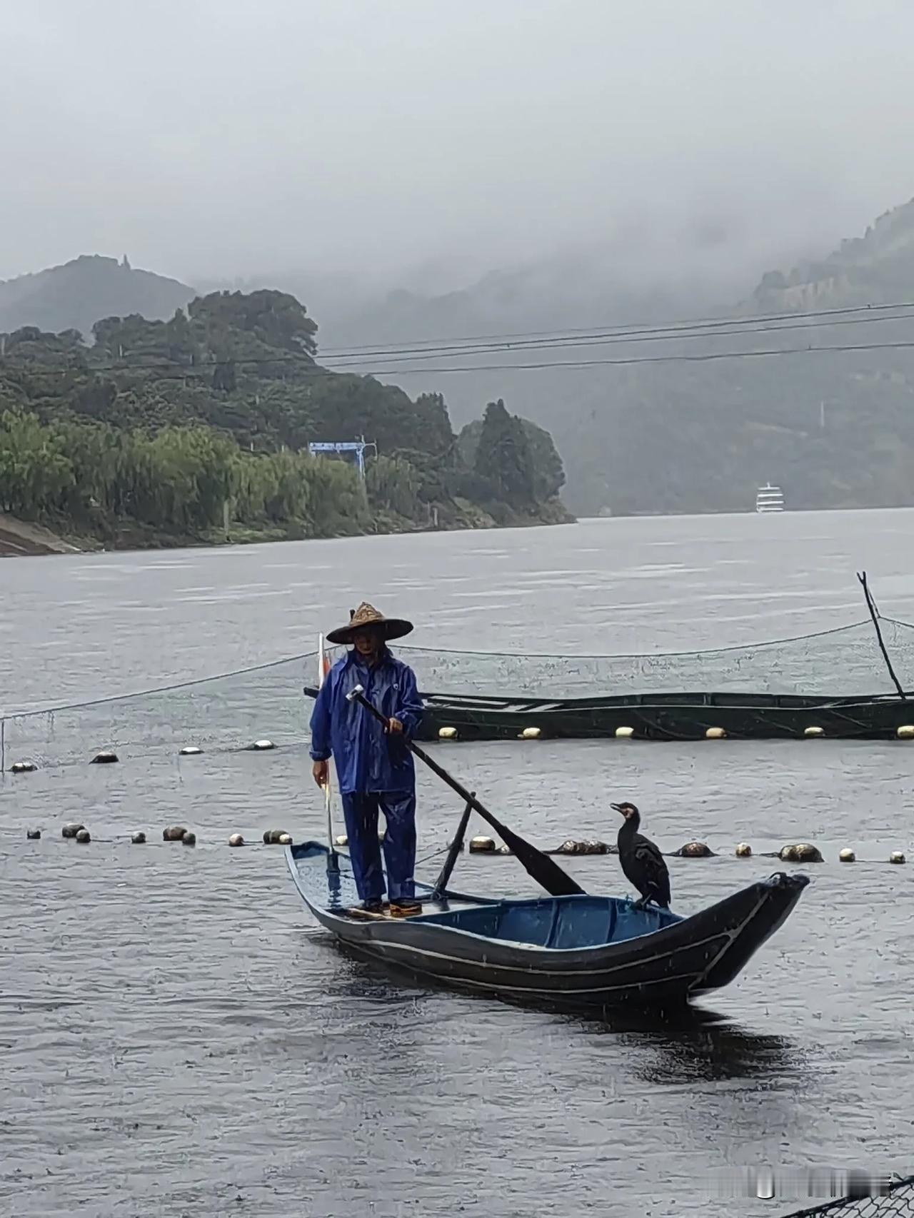 院校受行业或者地域影响，专业组受热门专业占比影响！比如说这个组存在热门专业，像电