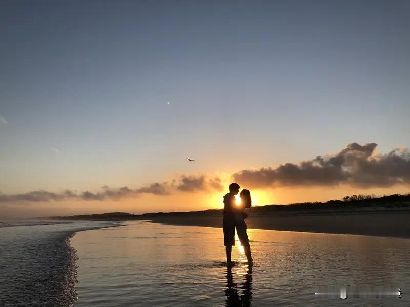 一个爱你的人会舍得不联系你吗？这问题真让人纠结，有这纠结感其实就已经输了。从常理