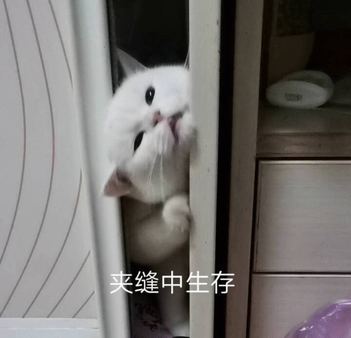 快递 涨价 好家伙！快递行业集体涨价，除了常见的几个通和达，涨价的还包括极兔、邮