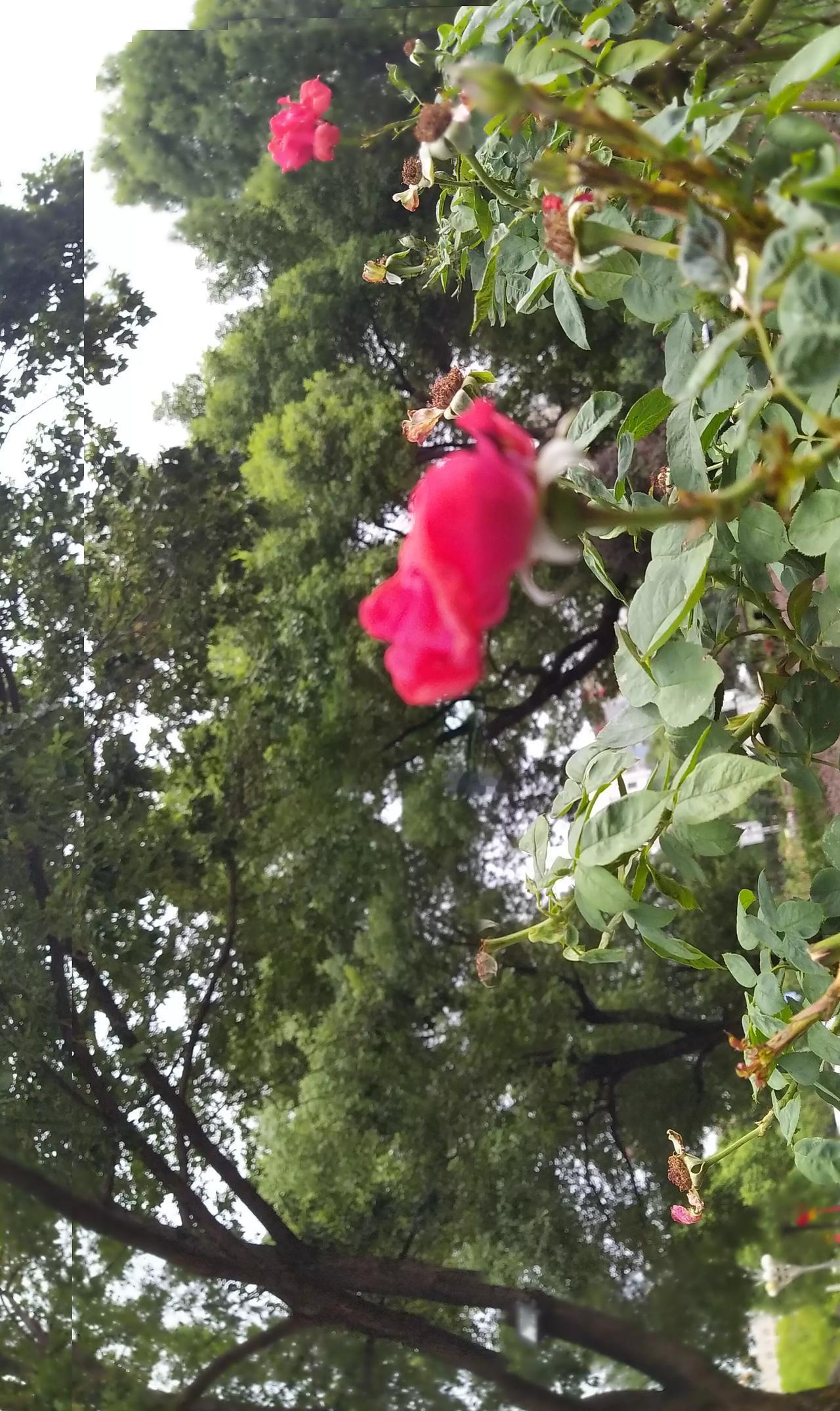 郭淮守关30余(年)，关西百姓有安全。
击退蜀国姜维将，郭淮进军击高详。打败羌族