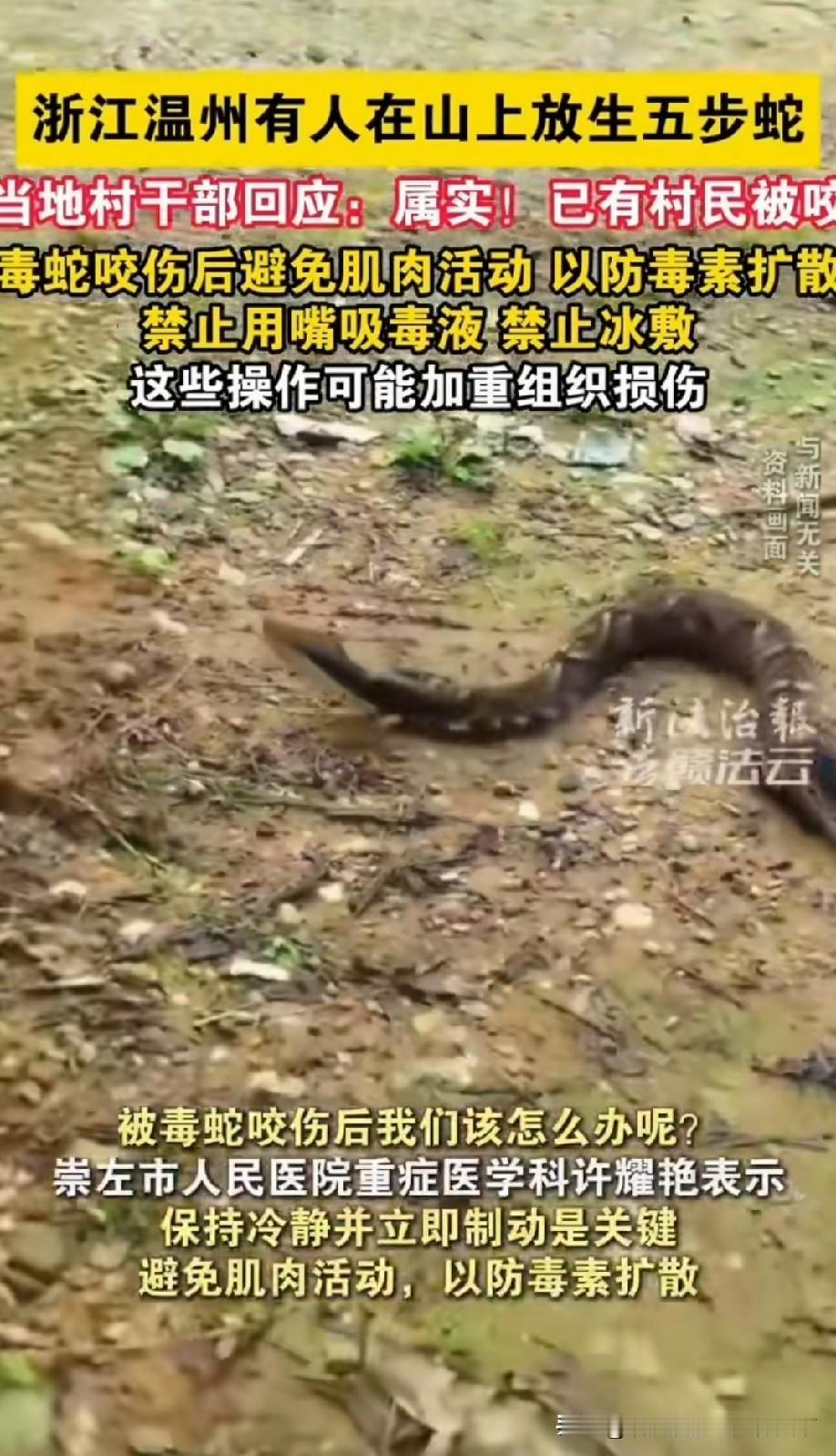 不是什么东西都能放生的，也不是什么地方都适合放生，要以他人安危为第一准则！

尤