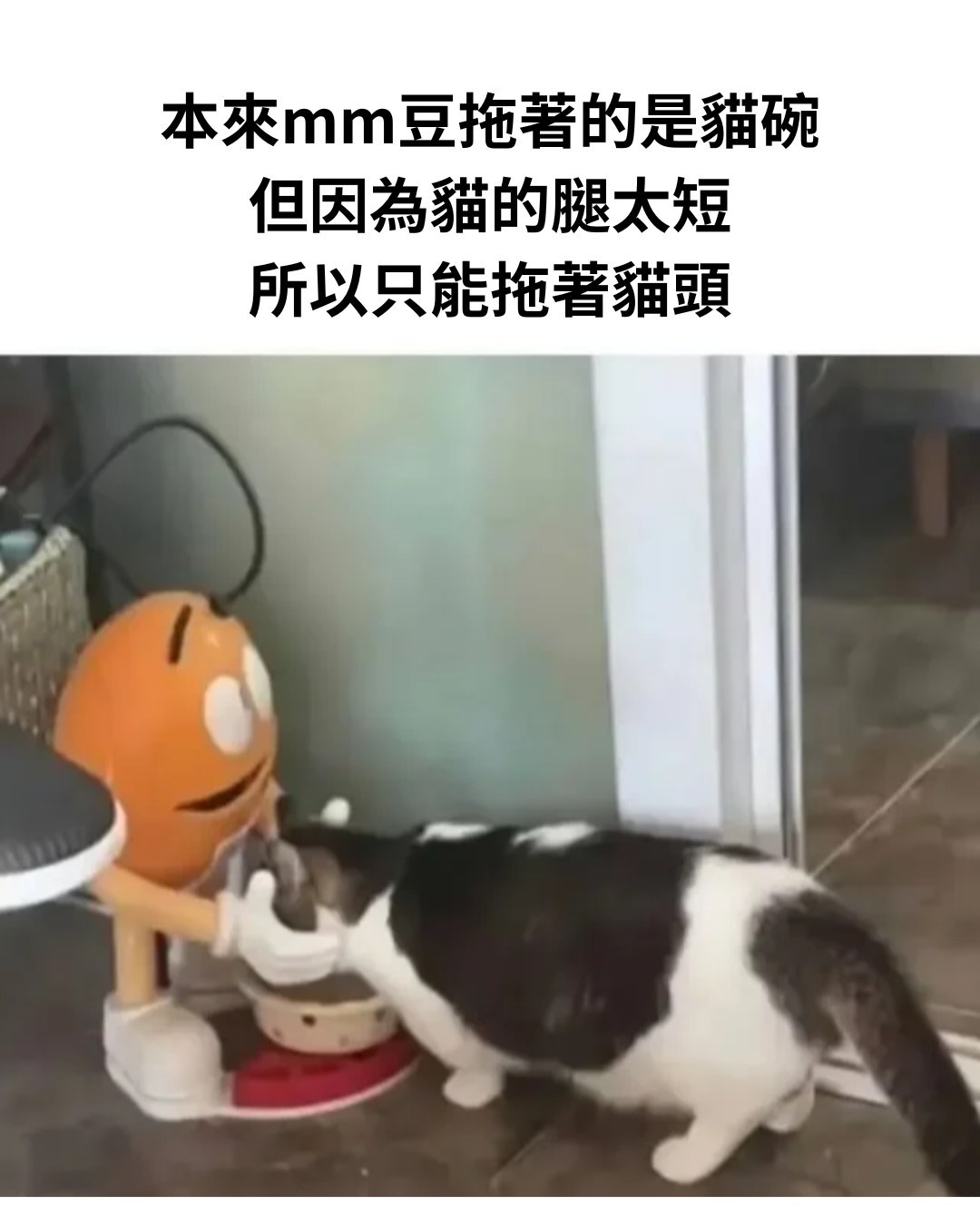 后续哪里看memesmemes[超话] ​​​