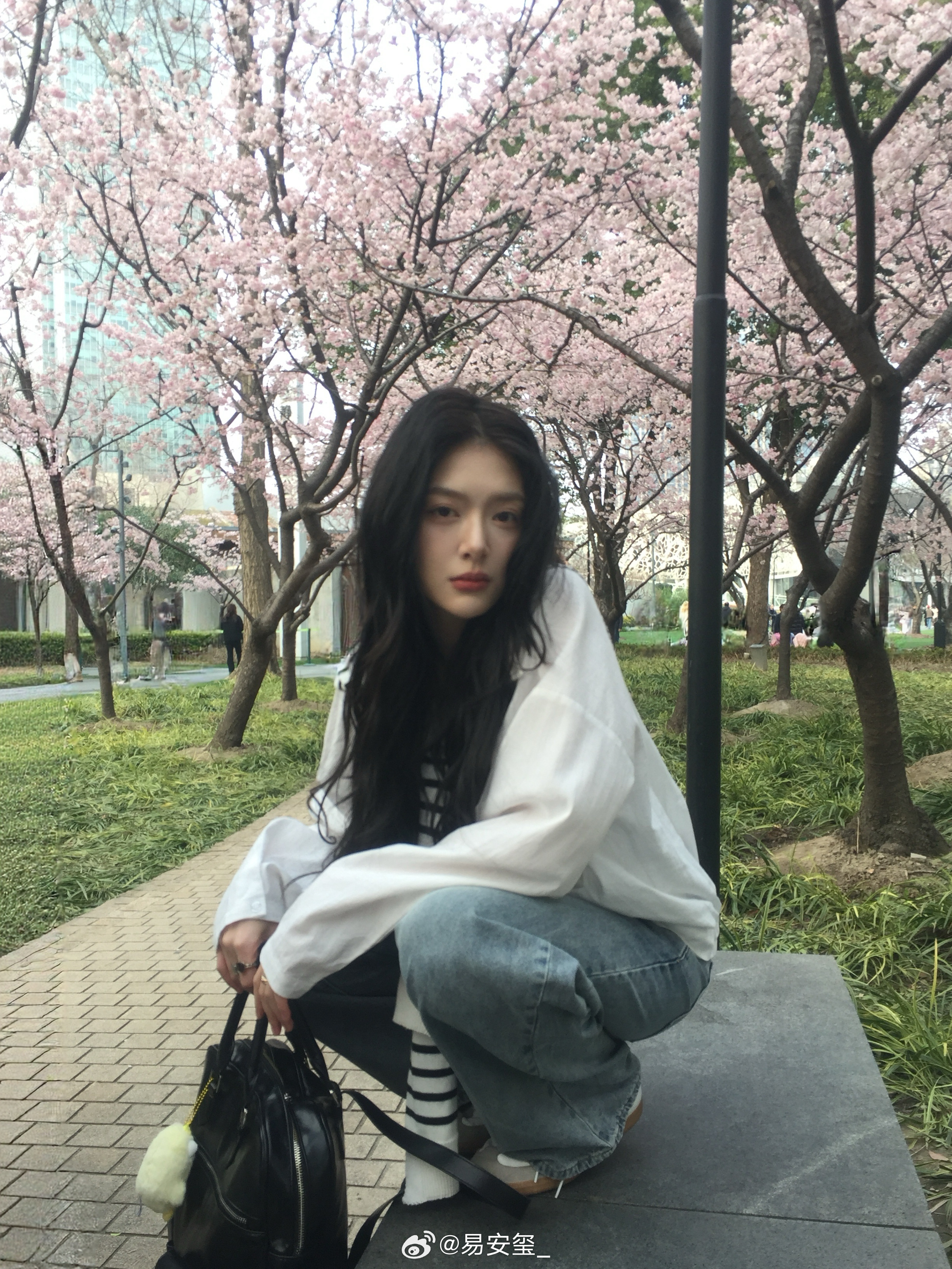 如果樱花落下的速度是秒速五厘米 