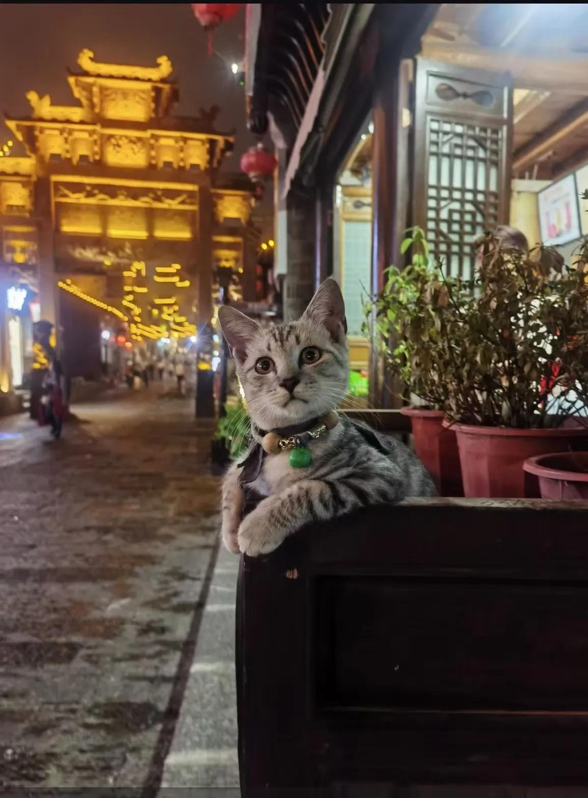 各单位都在清退借调人员，于是一些局机关恢复了本真。什么事都得在职人员亲力亲为了。