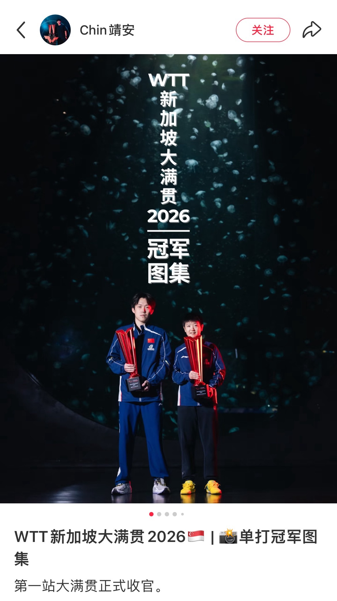 二位鲨鱼图 摄影师更新🤲🏻🦈🦈 