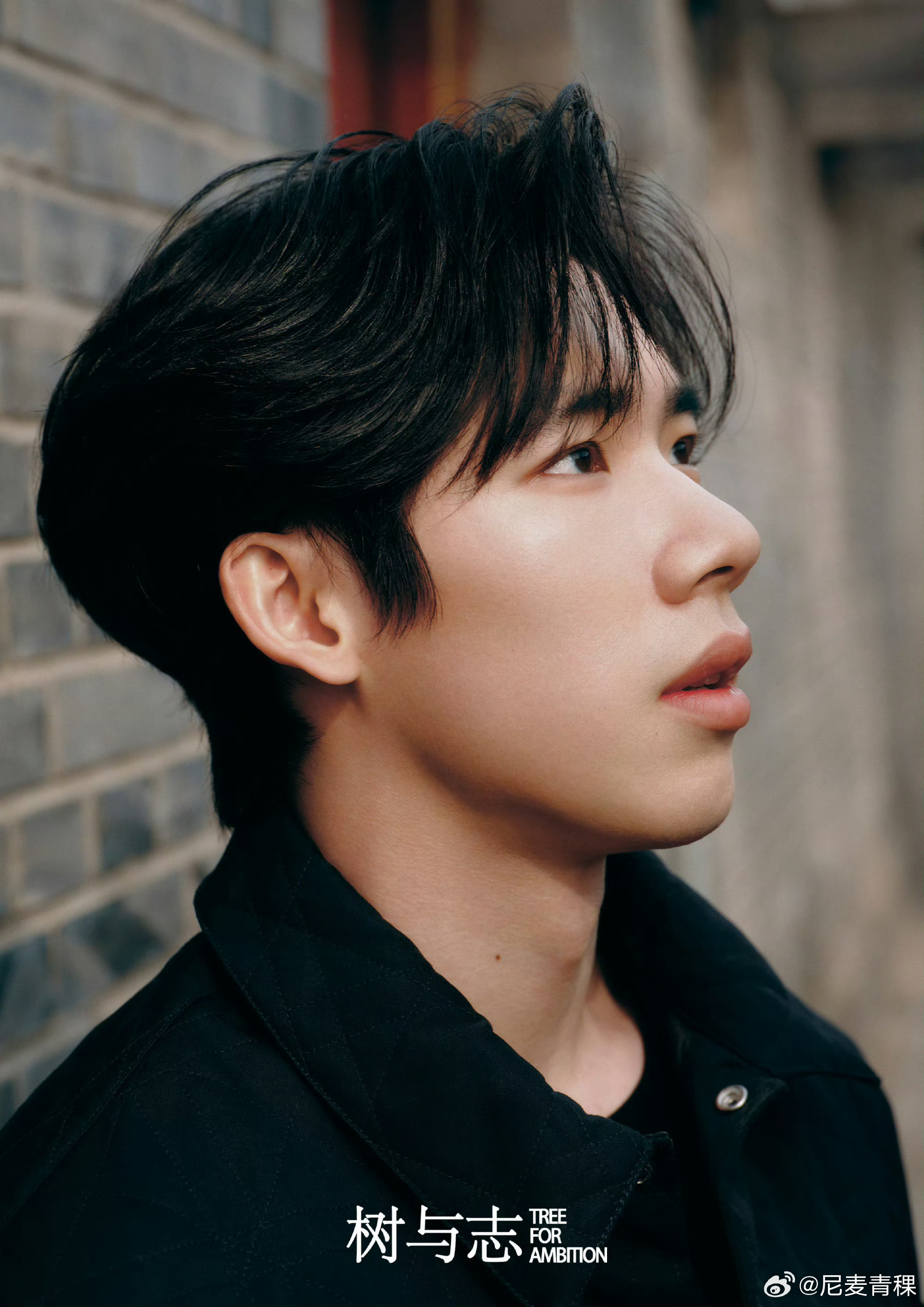 张博恒春日九宫格春日鼓楼限定！看张博恒在胡同里晒太阳，连风都变温柔了！