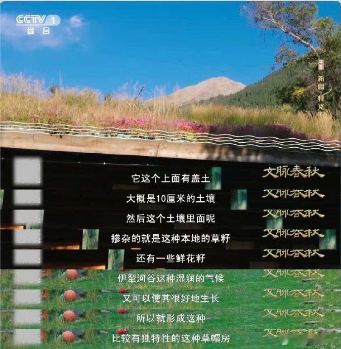 新疆的木屋戴着花草帽在新疆遇到了会开花的屋顶琼库什台的哈萨克人家，把屋顶变成空中